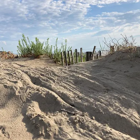 Dune Plein Sud Saint-Georges-de-Didonne